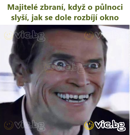 Majitelé zbraní, když o půlnoci slyší, jak se dole rozbíjí okno