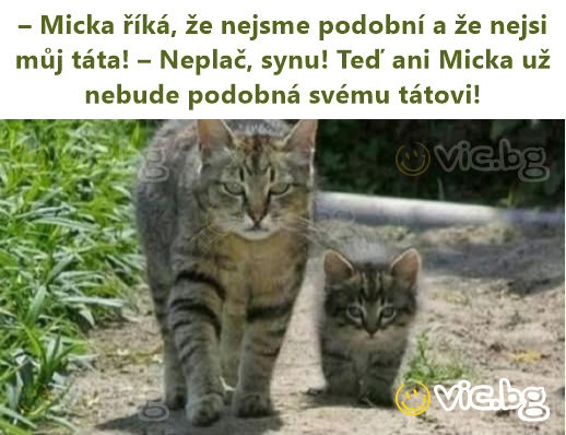 – Micka říká, že nejsme podobní a že nejsi můj táta! – Neplač, synu! Teď ani Micka už nebude podobná svému tátovi!