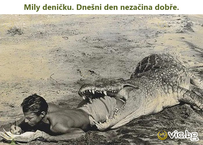 Mily deničku. Dnešni den nezačina dobře.