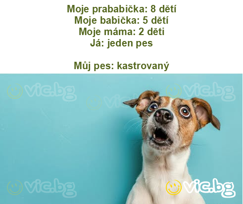 Moje prababička: 8 dětí
Moje babička: 5 dětí
Moje máma: 2 děti
Já: jeden pes

Můj pes: kastrovaný
