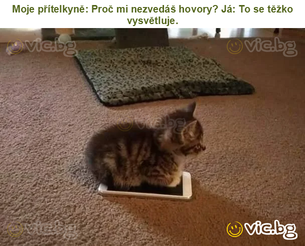 Moje přítelkyně: Proč mi nezvedáš hovory? Já: To se těžko vysvětluje.