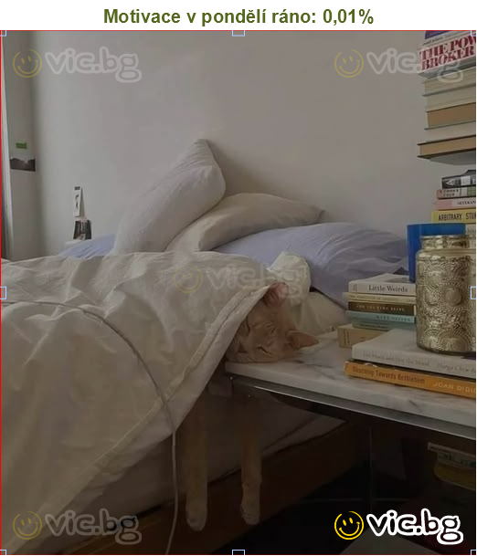 Motivace v pondělí ráno: 0,01%