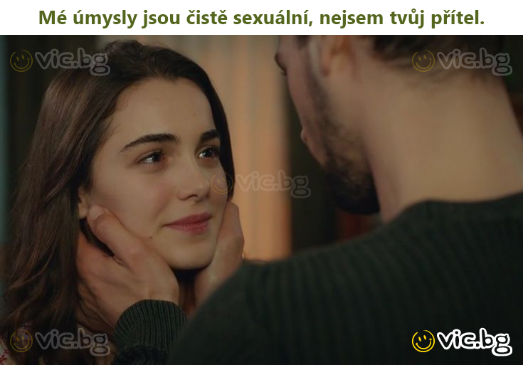 Mé úmysly jsou čistě sexuální, nejsem tvůj přítel.