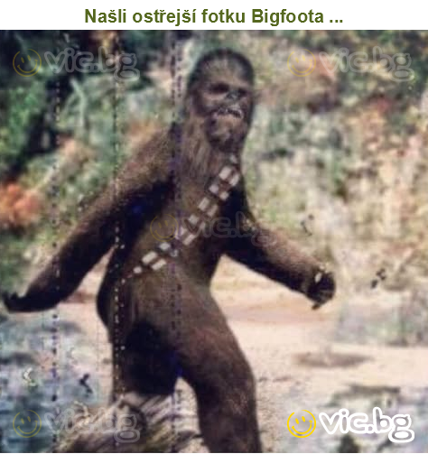 Našli ostřejší fotku Bigfoota ...