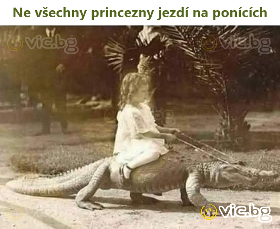 Ne všechny princezny jezdí na ponících