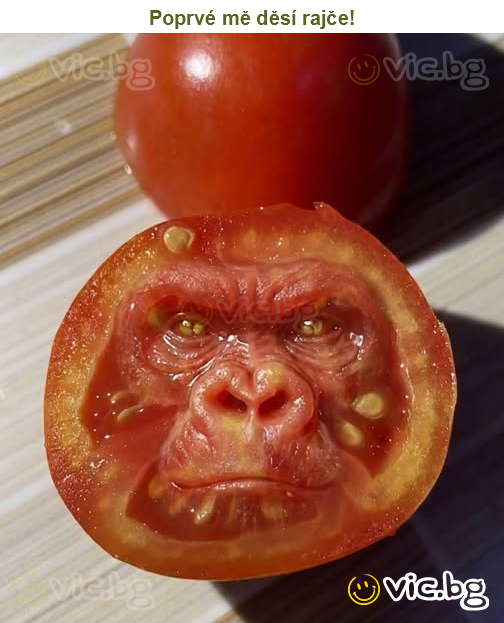 Poprvé mě děsí rajče!
