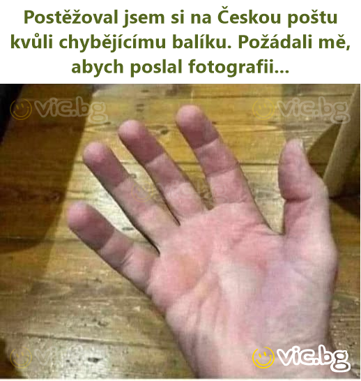 Postěžoval jsem si na Českou poštu kvůli chybějícímu balíku. Požádali mě, abych poslal fotografii...