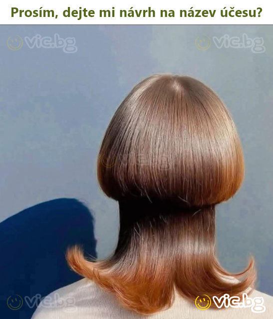 Prosím, dejte mi návrh na název účesu?