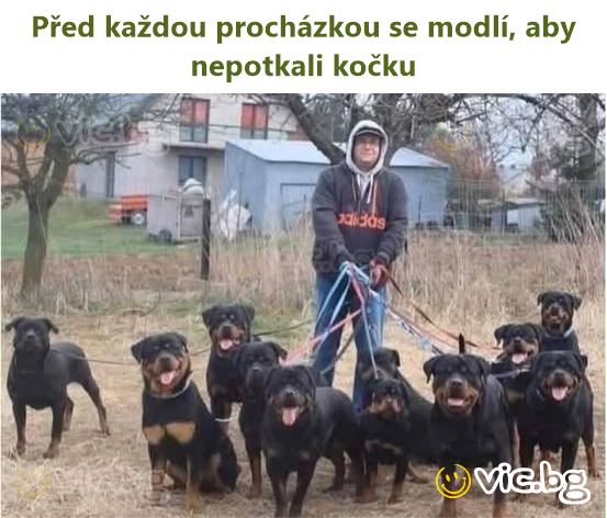 Před každou procházkou se modlí, aby nepotkali kočku