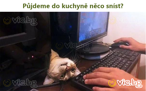 Půjdeme do kuchyně něco sníst?