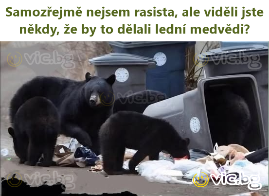Samozřejmě nejsem rasista, ale viděli jste někdy, že by to dělali lední medvědi?