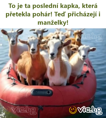 To je ta poslední kapka, která přetekla pohár! Teď přicházejí i manželky!