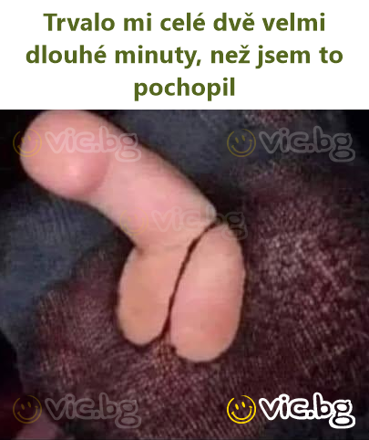 Trvalo mi celé dvě velmi dlouhé minuty, než jsem to pochopil