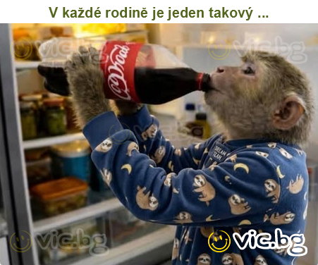 V každé rodině je jeden takový ...