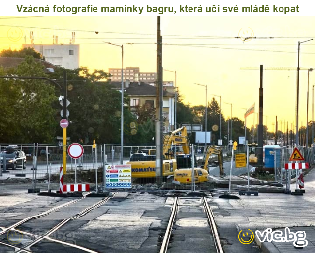 Vzácná fotografie maminky bagru, která učí své mládě kopat