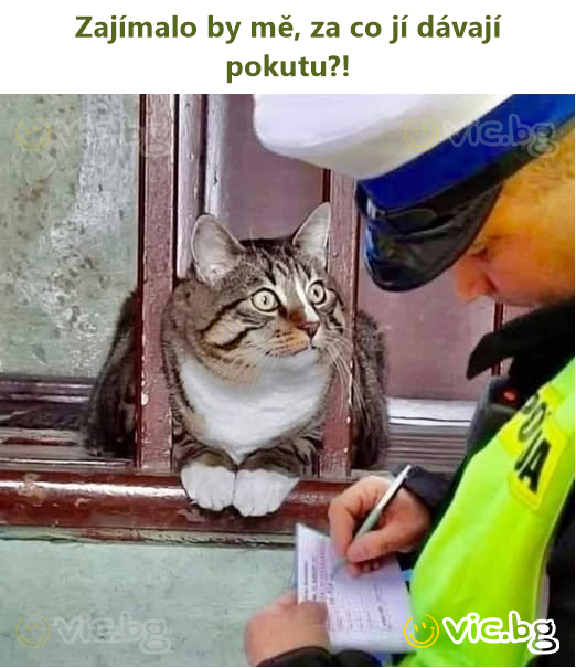 Zajímalo by mě, za co jí dávají pokutu?!