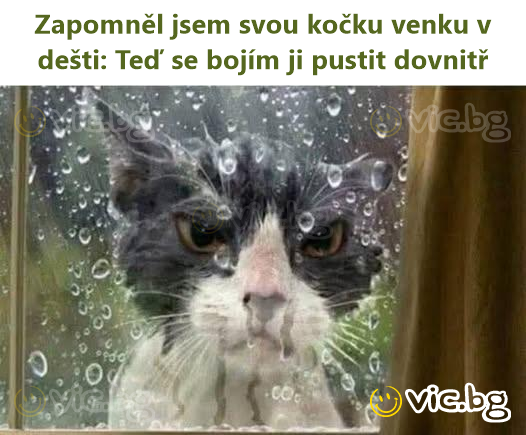 Zapomněl jsem svou kočku venku v dešti: Teď se bojím ji pustit dovnitř