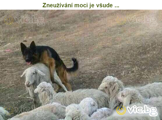 Zneužívání moci je všude ...