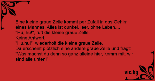 48+ Dreckige sprueche , kleine graue Zelle