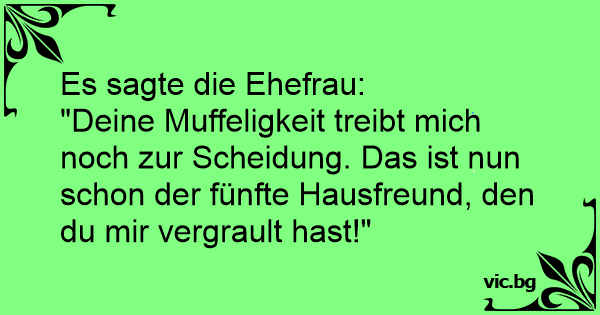 ...die,ehefrau,"deine,muffeligkeit,treibt,mich,noch,zur,scheidung,...