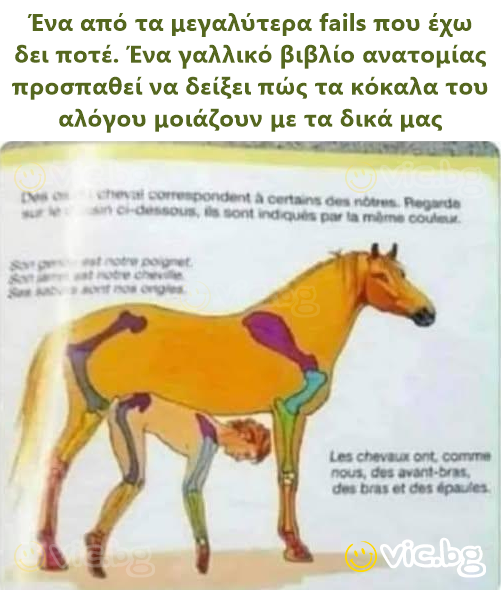 Ένα από τα μεγαλύτερα fails που έχω δει ποτέ. Ένα γαλλικό βιβλίο ανατομίας προσπαθεί να δείξει πώς τα κόκαλα του αλόγου μοιάζουν με τα δικά μας