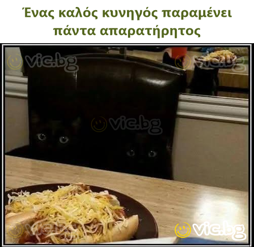 Ένας καλός κυνηγός παραμένει πάντα απαρατήρητος