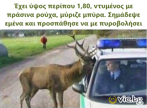 Έχει ύψος περίπου 1,80, ντυμένος με πράσινα ρούχα, μύριζε μπύρα. Σημάδεψε εμένα και προσπάθησε να με πυροβολήσει