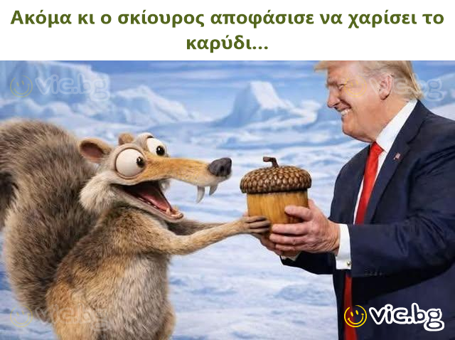 Ακόμα κι ο σκίουρος αποφάσισε να χαρίσει το καρύδι…