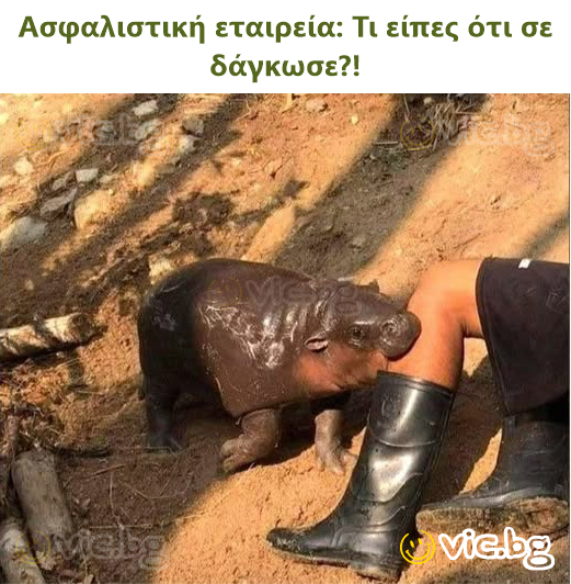 Ασφαλιστική εταιρεία: Τι είπες ότι σε δάγκωσε?!