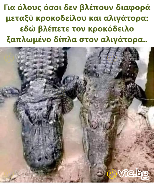Για όλους όσοι δεν βλέπουν διαφορά μεταξύ κροκοδείλου και αλιγάτορα: εδώ βλέπετε τον κροκόδειλο ξαπλωμένο δίπλα στον αλιγάτορα..
