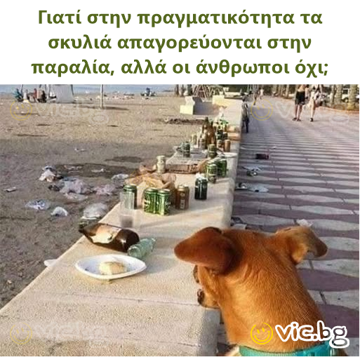 Γιατί στην πραγματικότητα τα σκυλιά απαγορεύονται στην παραλία, αλλά οι άνθρωποι όχι;