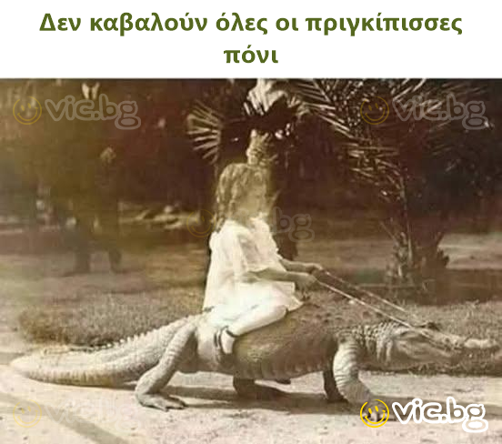 Δεν καβαλούν όλες οι πριγκίπισσες πόνι