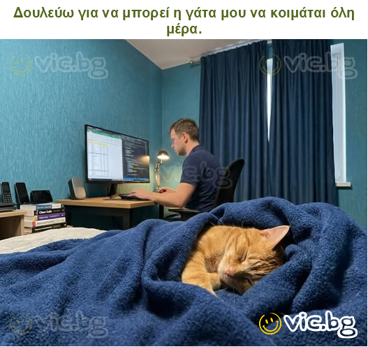 Δουλεύω για να μπορεί η γάτα μου να κοιμάται όλη μέρα.