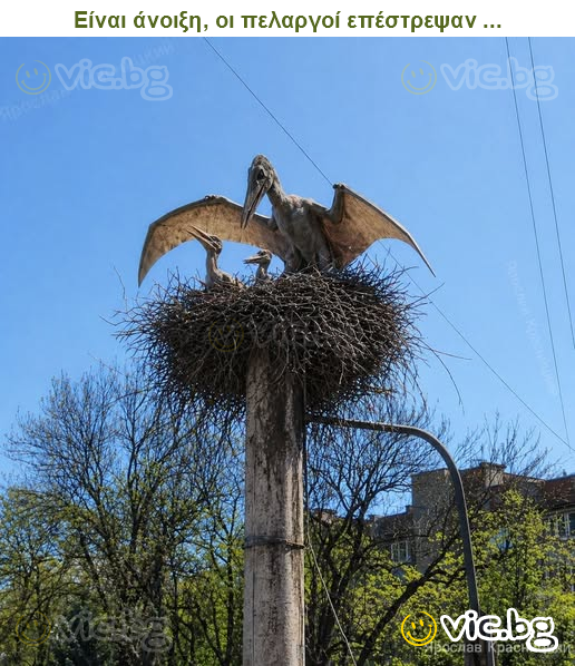 Είναι άνοιξη, οι πελαργοί επέστρεψαν ...
