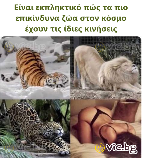 Είναι εκπληκτικό πώς τα πιο επικίνδυνα ζώα στον κόσμο έχουν τις ίδιες κινήσεις