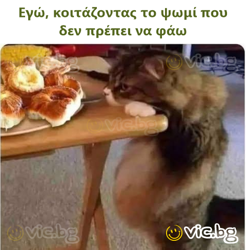 Εγώ, κοιτάζοντας το ψωμί που δεν πρέπει να φάω