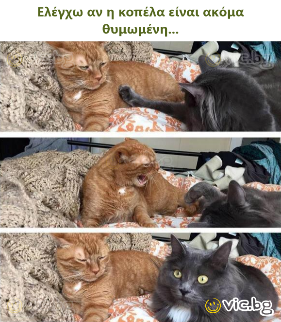 Ελέγχω αν η κοπέλα είναι ακόμα θυμωμένη...