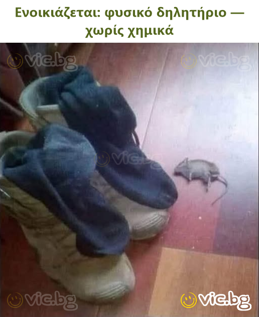 Ενοικιάζεται: φυσικό δηλητήριο — χωρίς χημικά