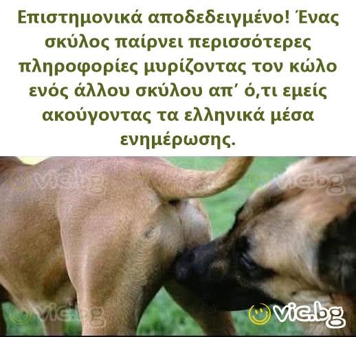 Επιστημονικά αποδεδειγμένο! Ένας σκύλος παίρνει περισσότερες πληροφορίες μυρίζοντας τον κώλο ενός άλλου σκύλου απ’ ό,τι εμείς ακούγοντας τα ελληνικά μέσα ενημέρωσης.