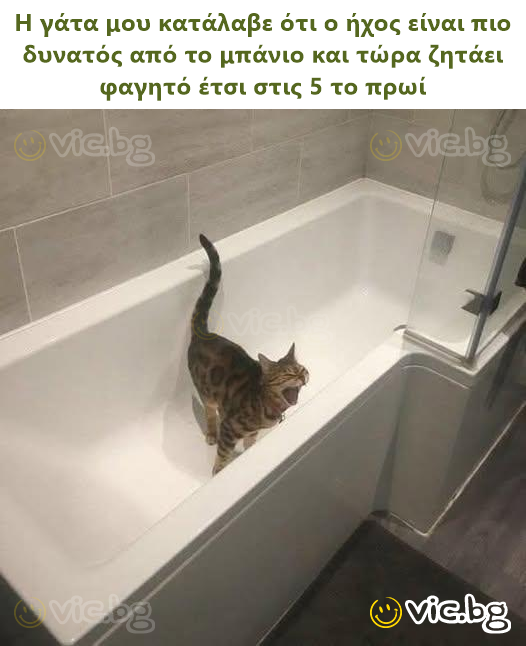 Η γάτα μου κατάλαβε ότι ο ήχος είναι πιο δυνατός από το μπάνιο και τώρα ζητάει φαγητό έτσι στις 5 το πρωί