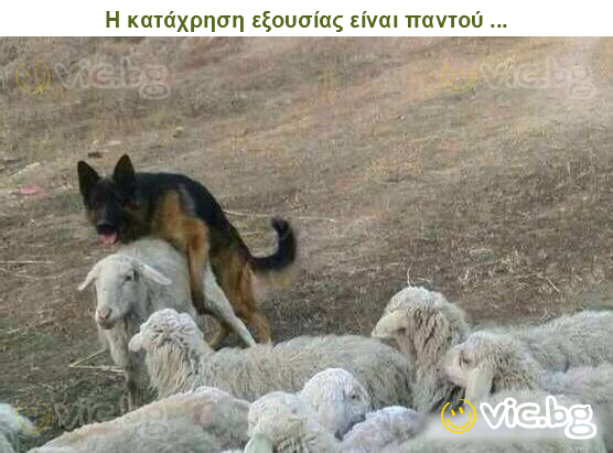 Η κατάχρηση εξουσίας είναι παντού ...