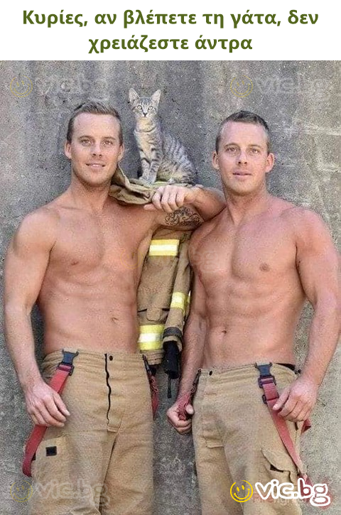 Κυρίες, αν βλέπετε τη γάτα, δεν χρειάζεστε άντρα