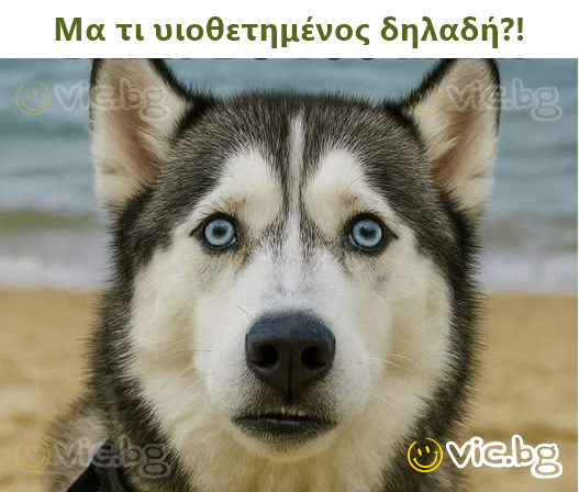 Μα τι υιοθετημένος δηλαδή?!