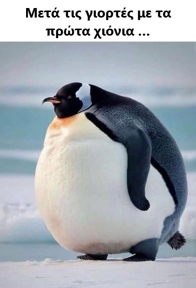 Μετά τις γιορτές με τα πρώτα χιόνια …