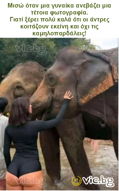 Μισώ όταν μια γυναίκα ανεβάζει μια τέτοια φωτογραφία.
Γιατί ξέρει πολύ καλά ότι οι άντρες κοιτάζουν εκείνη και όχι τις καμηλοπαρδάλεις!