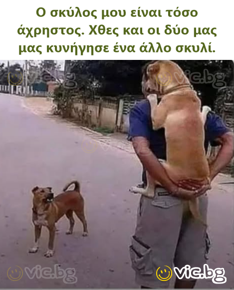 Ο σκύλος μου είναι τόσο άχρηστος. Χθες και οι δύο μας μας κυνήγησε ένα άλλο σκυλί.