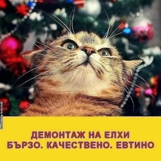 Οι πολιτικοί πριν και μετά τις εκλογές
