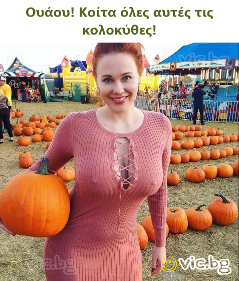 Ουάου! Κοίτα όλες αυτές τις κολοκύθες!