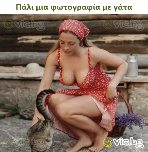 Πάλι μια φωτογραφία με γάτα