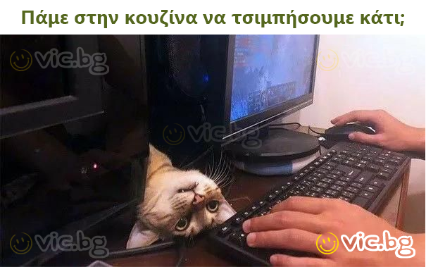 Πάμε στην κουζίνα να τσιμπήσουμε κάτι;